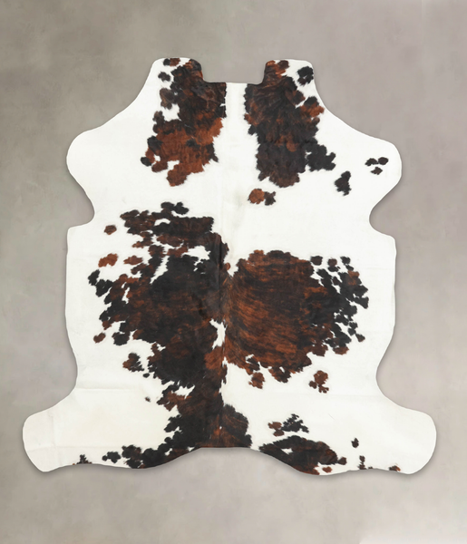 Tricolor Cowhide Rug #B6287