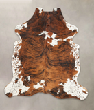 Tricolor Cowhide Rug #B6288