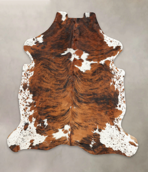 Tricolor Cowhide Rug #B6288