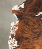 Tricolor Cowhide Rug #B6288