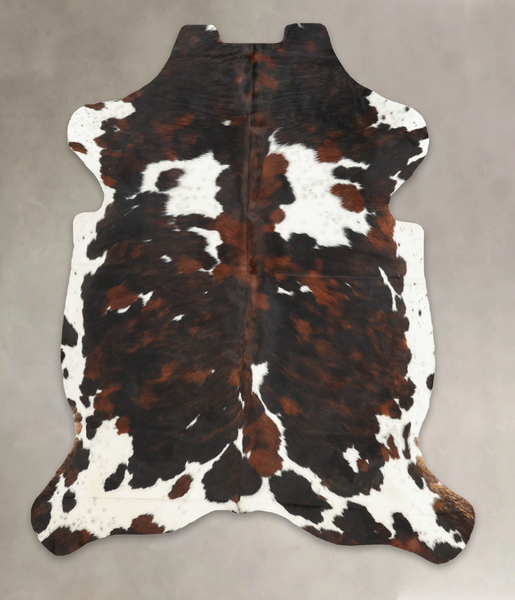 Tricolor Cowhide Rug #B6289