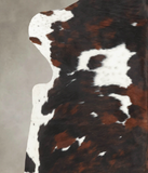 Tricolor Cowhide Rug #B6289