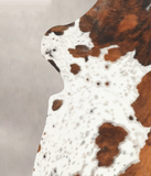 Tricolor Cowhide Rug #B6292