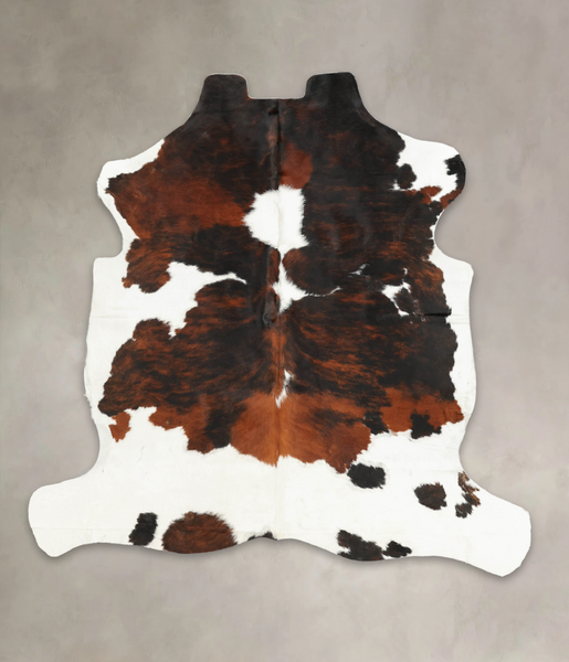 Tricolor Cowhide Rug #B6294