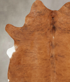 Medium Brindle Cowhide Rug #B7875