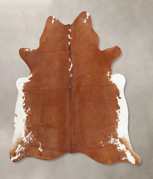 Brown and White Regular Cowhide Rug #B7909