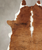 Brown and White Regular Cowhide Rug #B7933