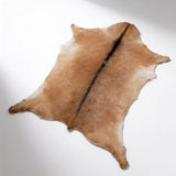 Accent Rug Approx 2'x3' by Hudson Hides Offer