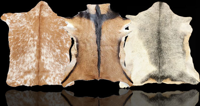 files/goat-header-design-hh.jpg