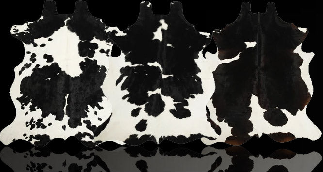 files/hh-header-black-white.jpg