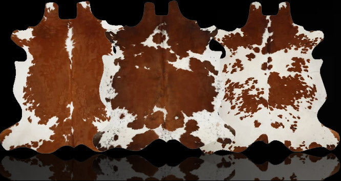 files/hh-header-brown-white.jpg