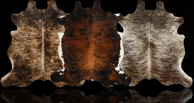files/hh-header-dark-brindle.jpg