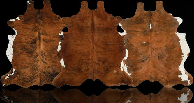 files/hh-header-medium-brindle.jpg
