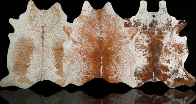 files/hh-header-salt-pepper-brown.jpg