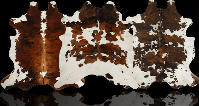 files/hh-header-tricolor.jpg