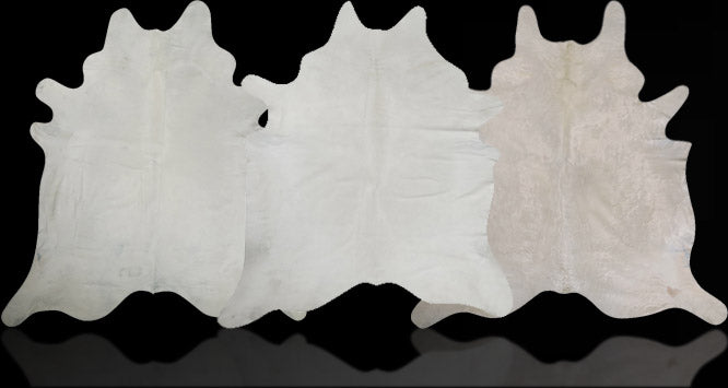 files/hh-header-white.jpg