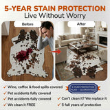 5 Year Stain Protection Plan