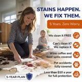 5 Year Stain Protection Plan