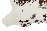 Tricolor Cowhide Rug #11733