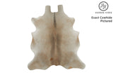 Gris Beige Cowhide Rug #11795