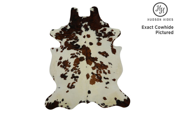 Tricolor Cowhide Rug #11866