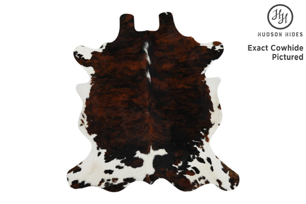 Tricolor Cowhide Rug #11948