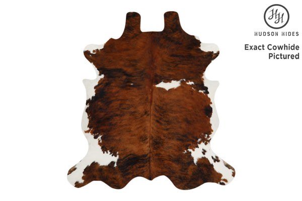 Tricolor Cowhide Rug #11976