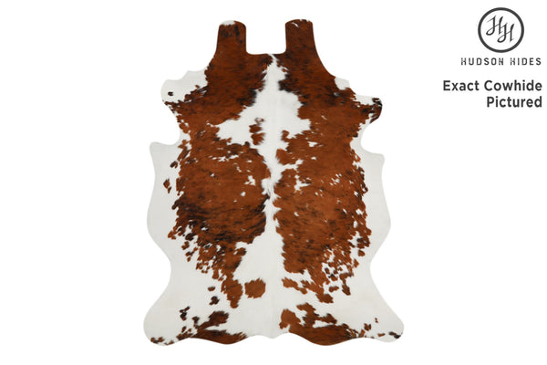 Tricolor Cowhide Rug #12045