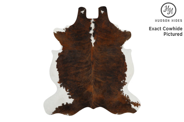 Tricolor Cowhide Rug #12105