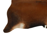 Brown with Red Cowhide Rug #12672