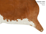 Brown and White Regular Cowhide Rug #12938