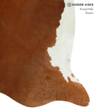 Brown and White Regular Cowhide Rug #13210