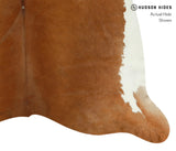 Brown and White Regular Cowhide Rug #13370