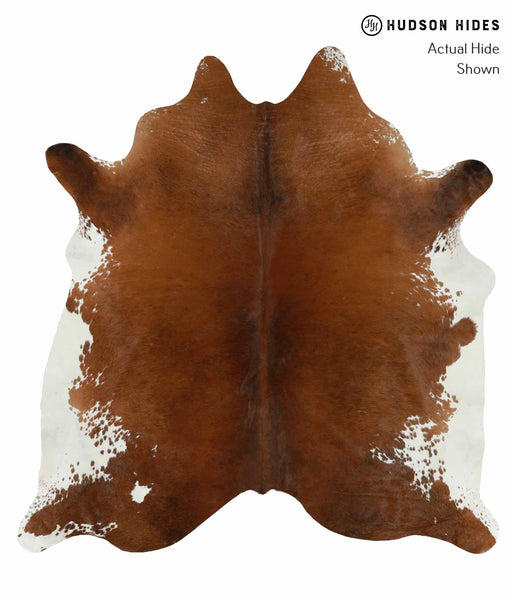 Brown and White Regular Cowhide Rug #13478