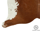 Hereford XX-Large Brazilian Cowhide Rug 7'5"H x 7'11"W #15057 by Hudson Hides