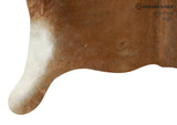 Brown with Red Cowhide Rug #15444