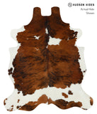 Tricolor Cowhide Rug #15959