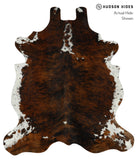 Tricolor Cowhide Rug #17683
