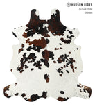 Tricolor Cowhide Rug #24133