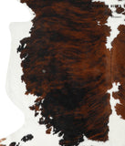 Tricolor Cowhide Rug #24172