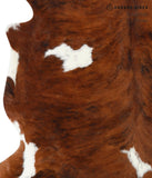 Tricolor Cowhide Rug #24196