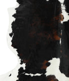 Tricolor Cowhide Rug #24242