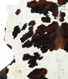 Tricolor Cowhide Rug #24372