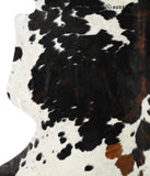 Tricolor Cowhide Rug #24414
