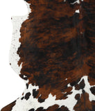 Tricolor Cowhide Rug #24435
