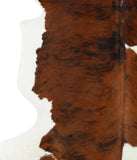Tricolor Cowhide Rug #24453