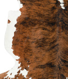 Tricolor Cowhide Rug #24481