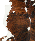 Tricolor Cowhide Rug #24511
