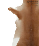 Calfhide Rug #24784