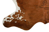 Tricolor Cowhide Rug #7158